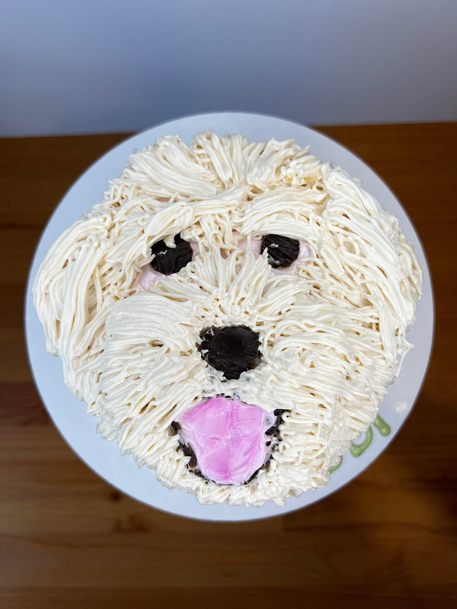 Doggy Dog cake – Axel Tia's Pet Bakery - Main Image