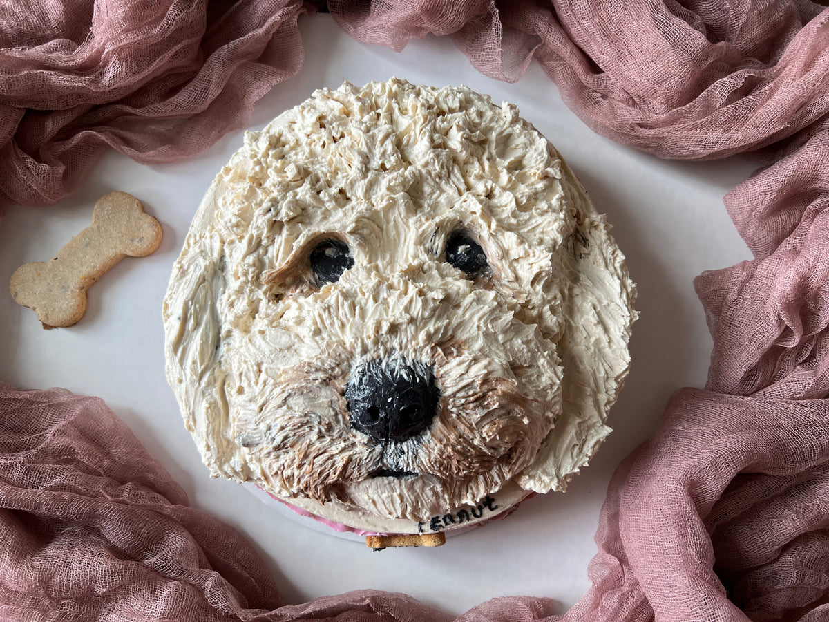 Doggy Dog cake – Axel & Tia's Pet Bakery