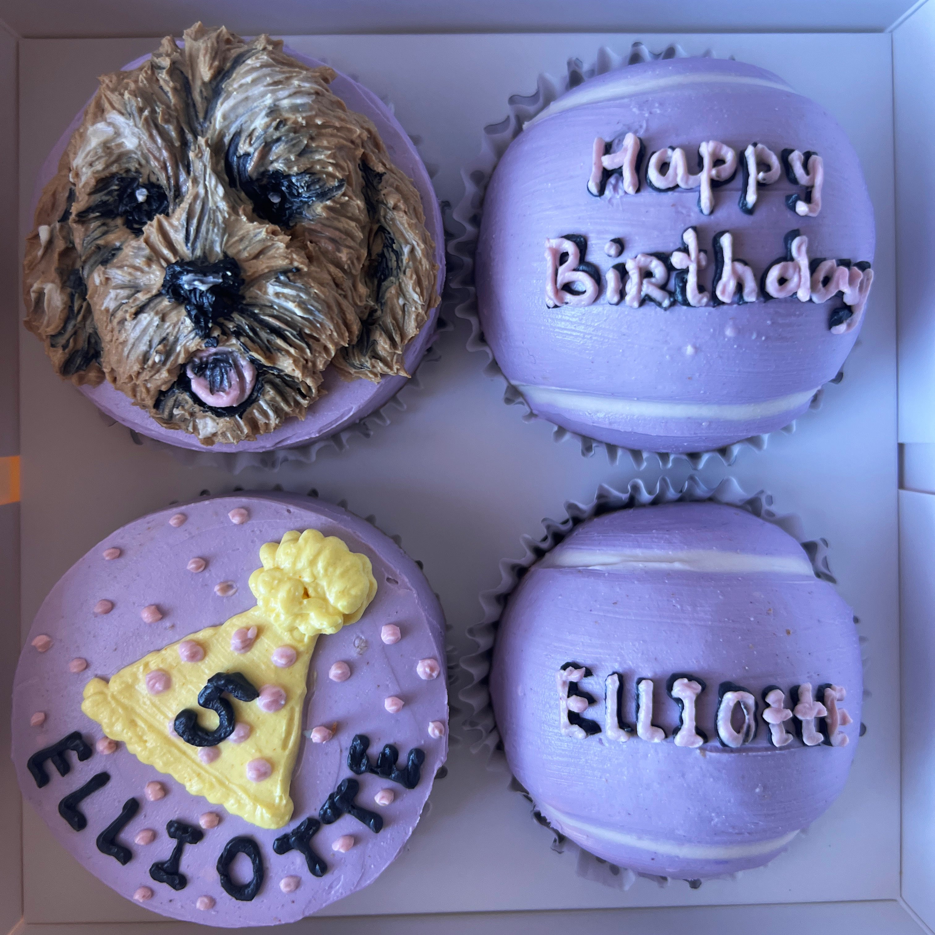 Portrait pupcake set