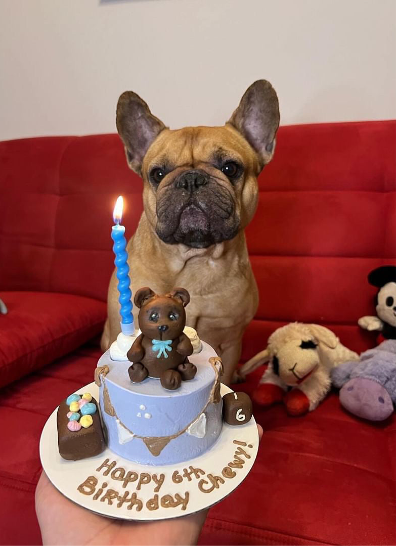 Toy chest Cake
