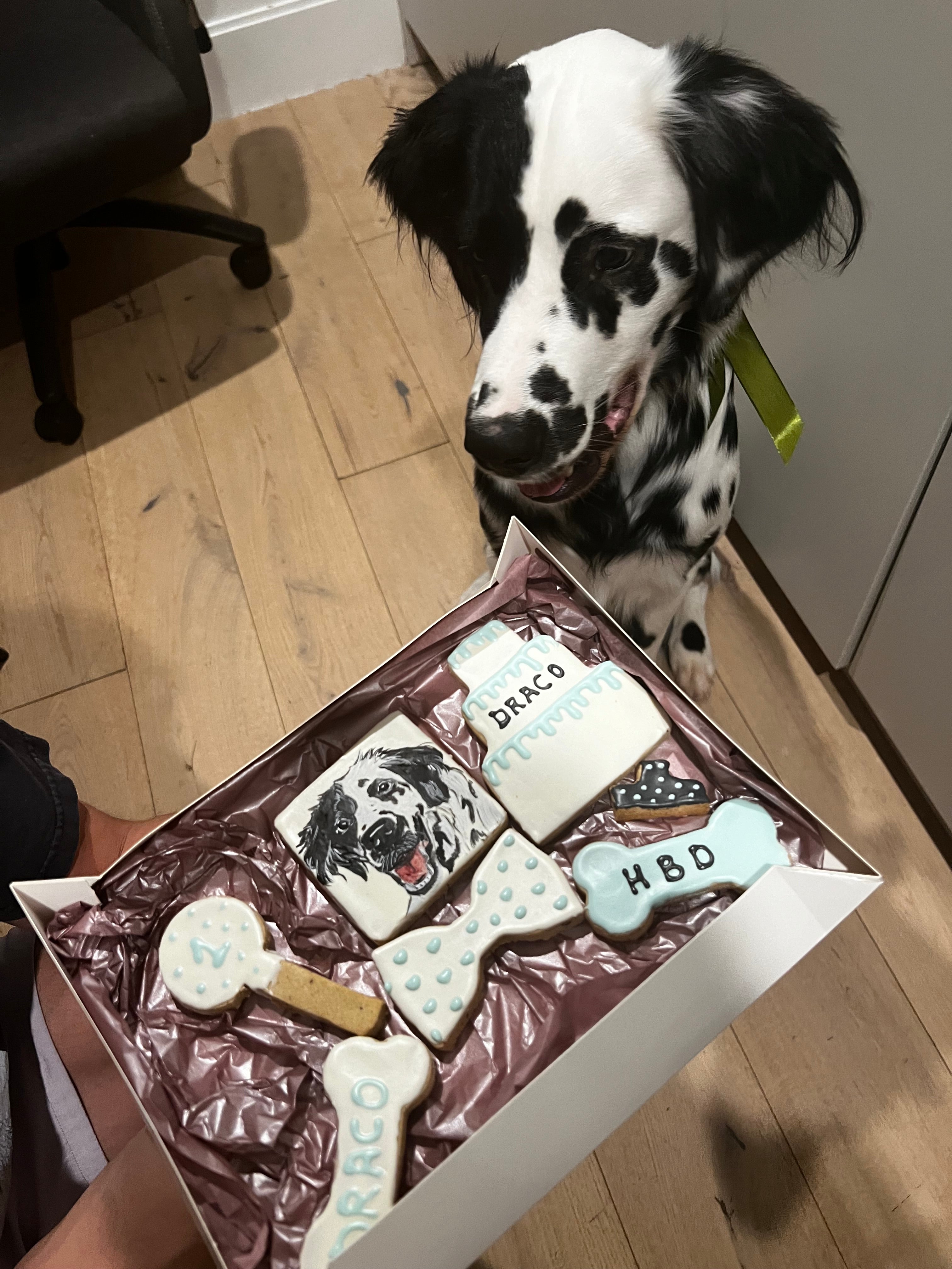 Barkday biscuit set