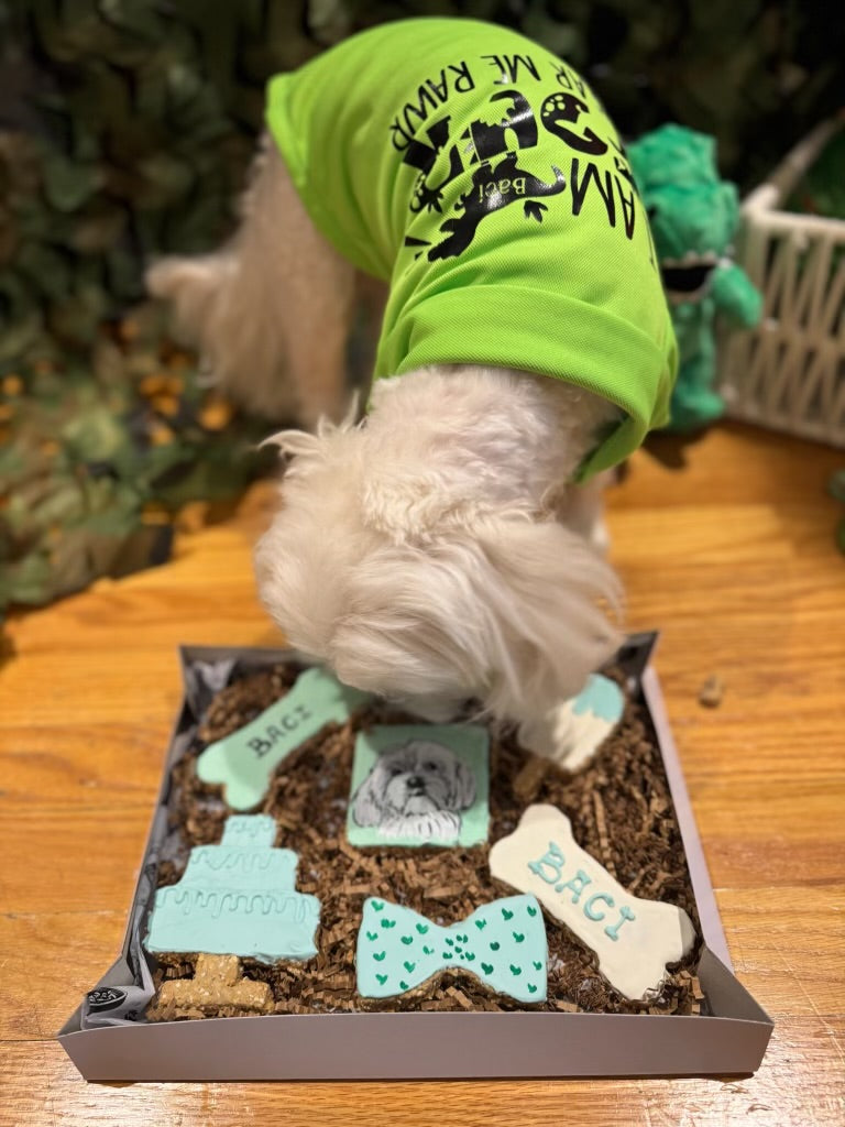 Barkday biscuit set