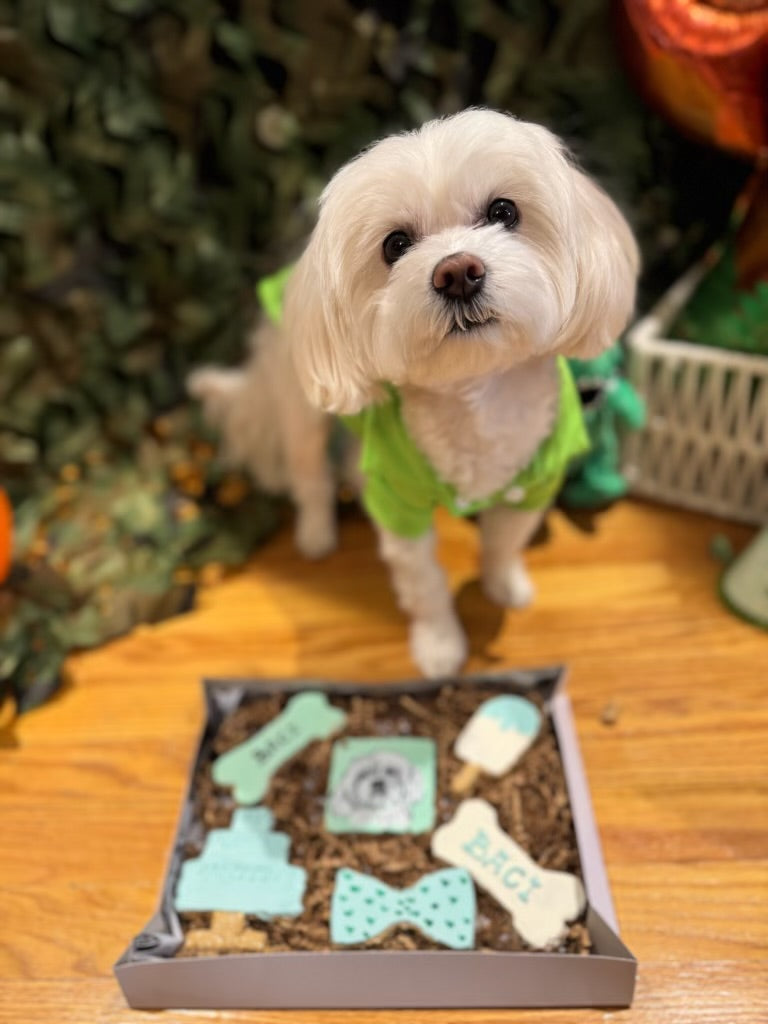 Barkday biscuit set