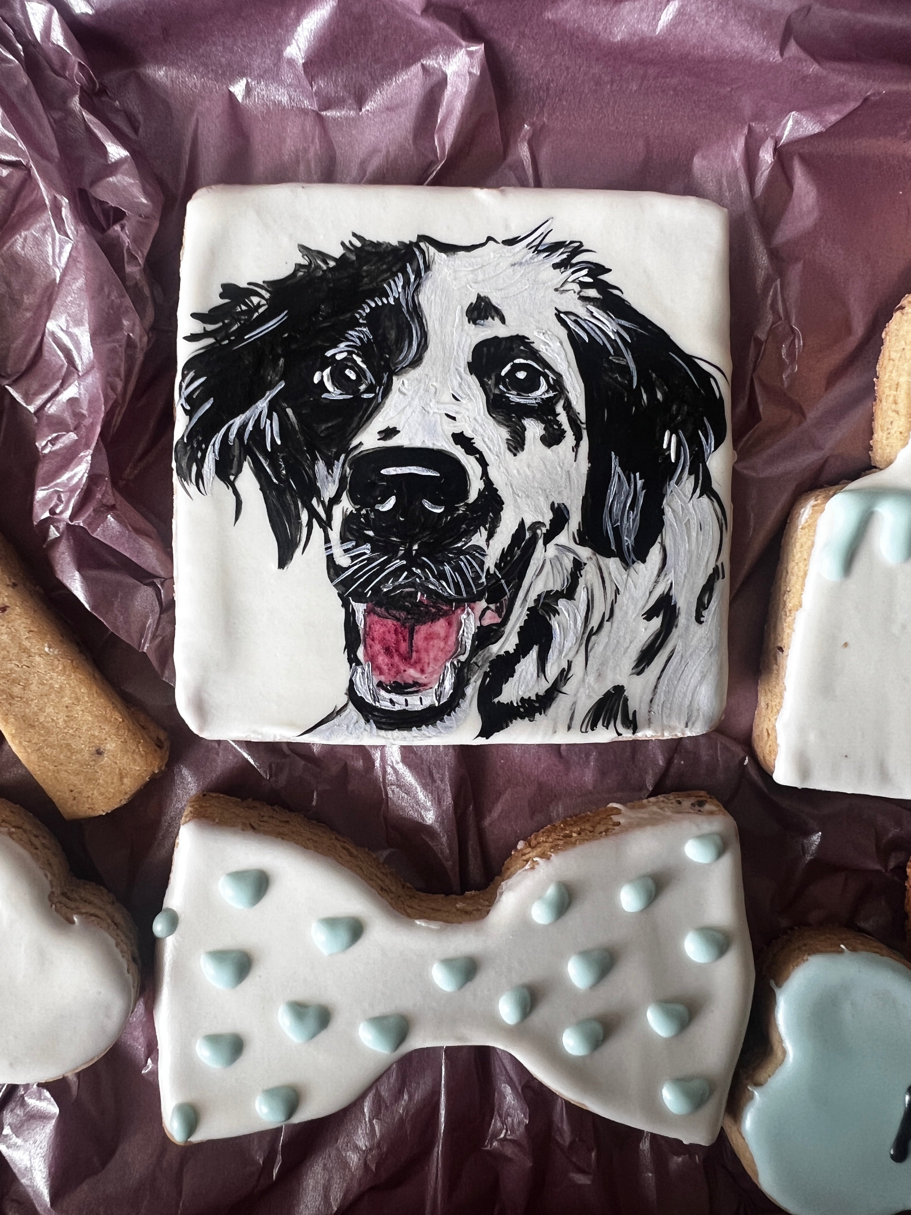 Barkday biscuit set